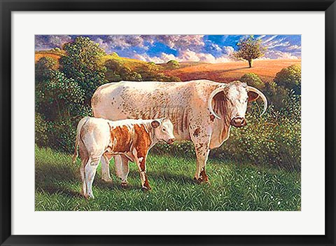 Framed Longhorn Cow And Calf Print