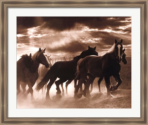 Framed Running Horses &amp; Sunbeams Print