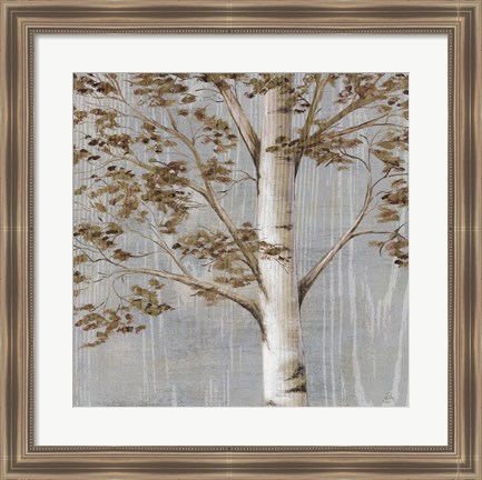 Framed Birch Study I Print