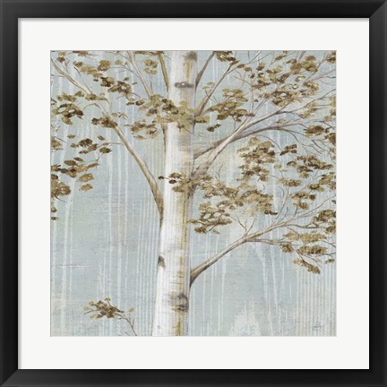 Framed Birch Study II Print