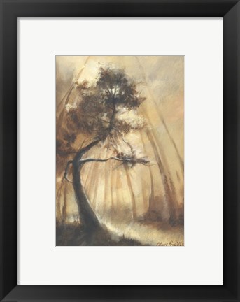 Framed Woodland Grove Print