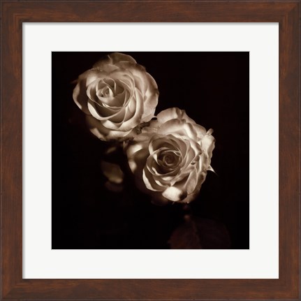 Framed Circus Roses Print