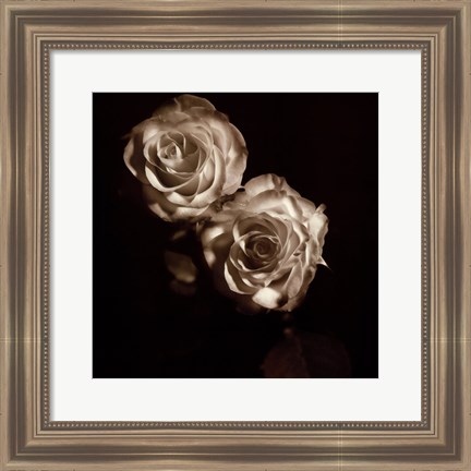 Framed Circus Roses Print