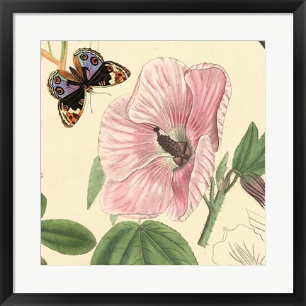 Framed Hibiscus Print