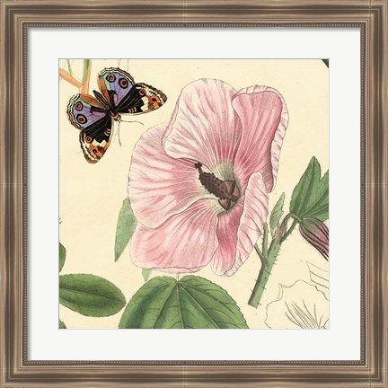 Framed Hibiscus Print