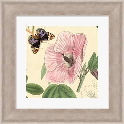 Framed Hibiscus Print