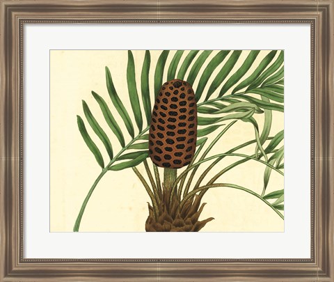 Framed Palmetto III Print