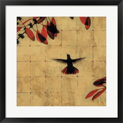 Framed Colibri II Print