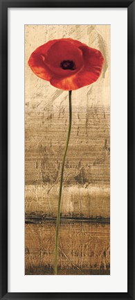 Framed Poppy Panel II Print