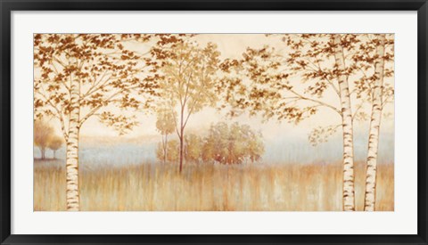 Framed Birches in the Mist Print