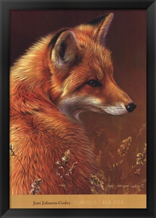 Framed Curious Red Fox Print