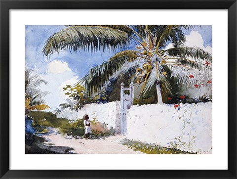 Framed Garden In Nassau Print