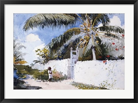 Framed Garden In Nassau Print