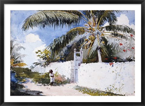 Framed Garden In Nassau Print