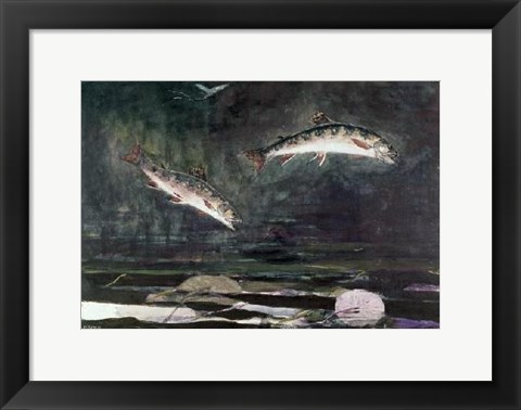 Framed Leaping Trout Print