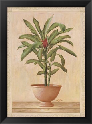 Framed Potted Palm I Print