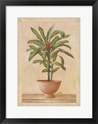 Framed Potted Palm I Print