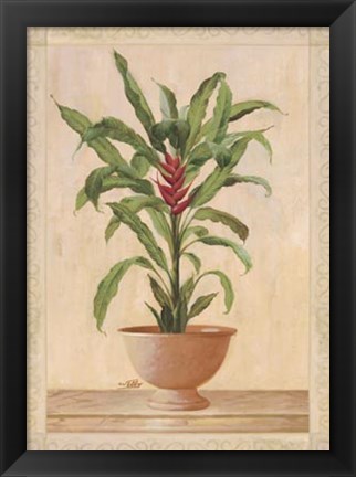 Framed Potted Palm II Print