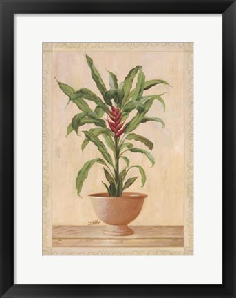 Framed Potted Palm II Print