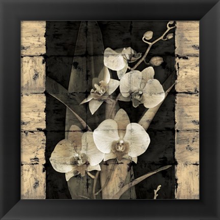 Framed Orchids in Bloom II Print