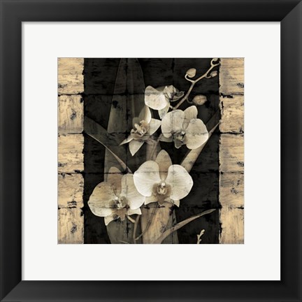 Framed Orchids in Bloom II Print