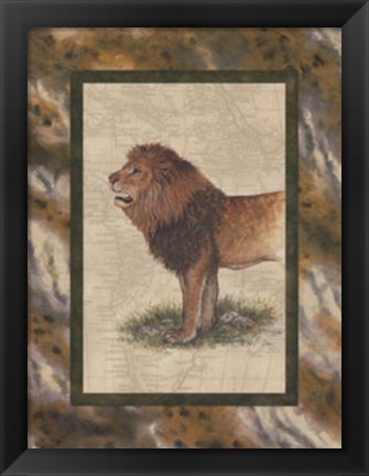 Framed Lion Print