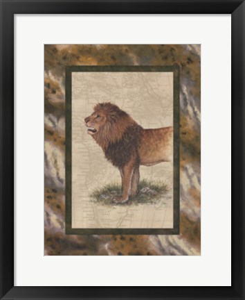 Framed Lion Print