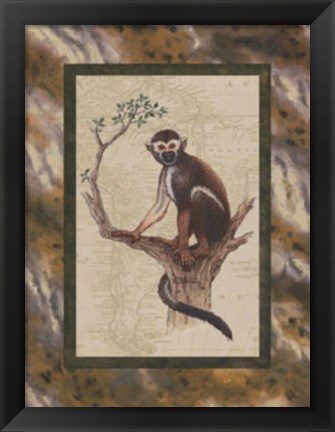 Framed Squirrel Monkey Print