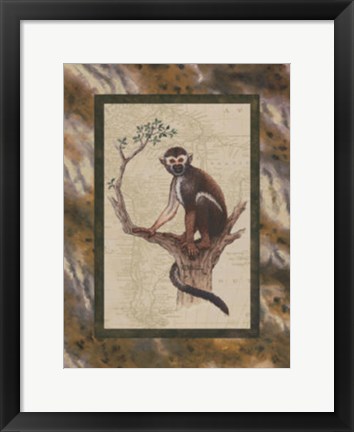 Framed Squirrel Monkey Print