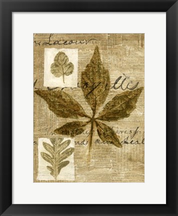 Framed Leaf Collage III Print