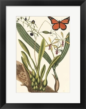 Framed Butterfly and Botanical IV Print