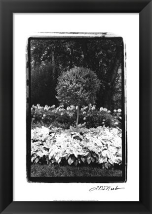 Framed Garden Hideaway II Print