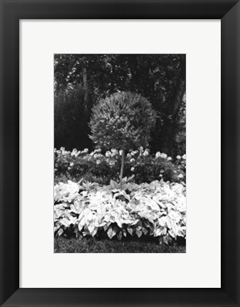 Framed Garden Hideaway II Print