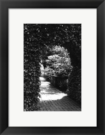 Framed Garden Hideaway IV Print