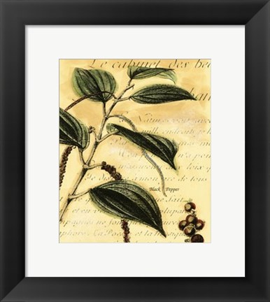 Framed Black Pepper Print