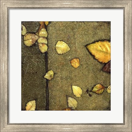 Framed Wet Pavement IV Print