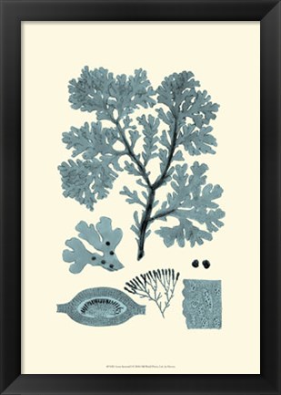 Framed Azure Seaweed I Print