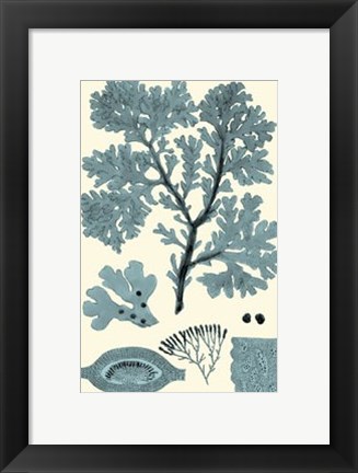 Framed Azure Seaweed I Print