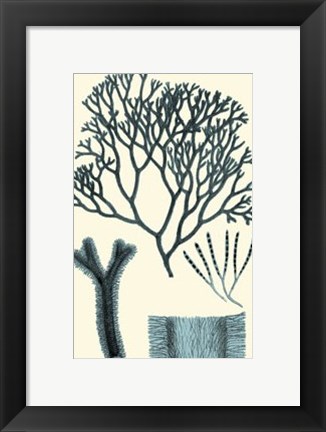 Framed Azure Seaweed IV Print