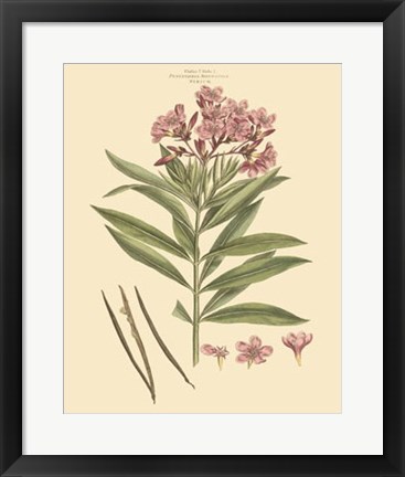 Framed Blushing Pink Florals III Print