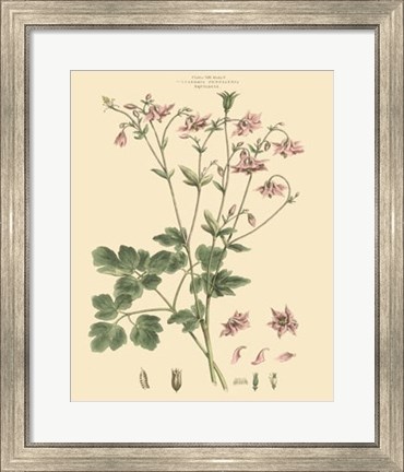 Framed Blushing Pink Florals IX Print