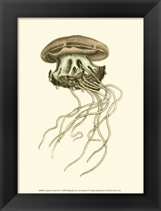 Framed Creatures of the Sea I Print