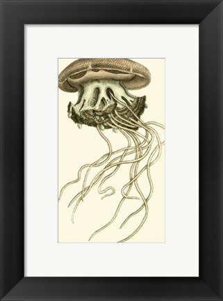 Framed Creatures of the Sea I Print