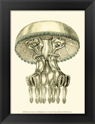 Framed Creatures of the Sea II Print