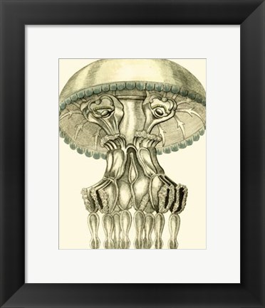 Framed Creatures of the Sea II Print