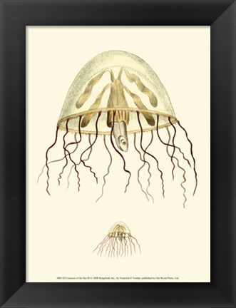 Framed Creatures of the Sea III Print