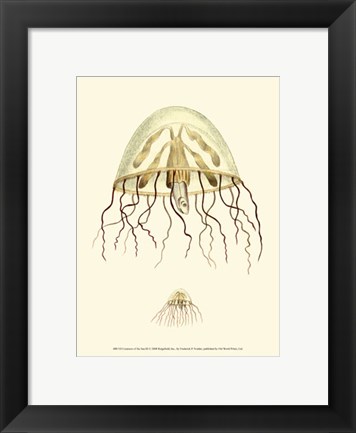 Framed Creatures of the Sea III Print