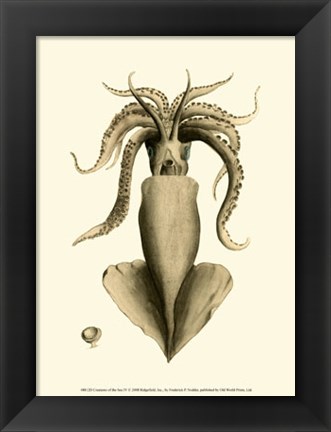 Framed Creatures of the Sea IV Print