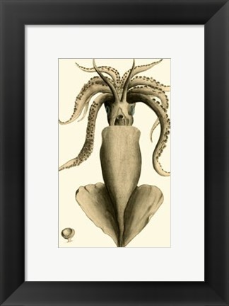 Framed Creatures of the Sea IV Print