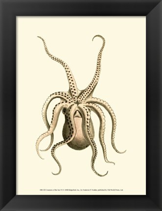 Framed Creatures of the Sea VI Print